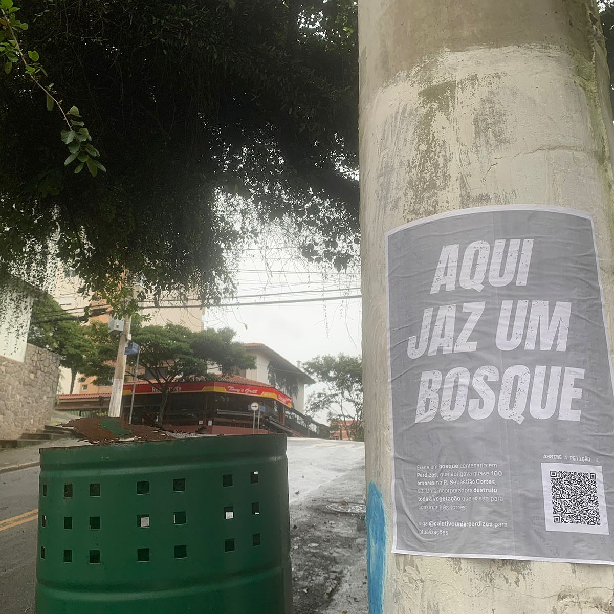 Justiça determina a interrupção da derrubada de árvores de bosque em Perdizes (SP)