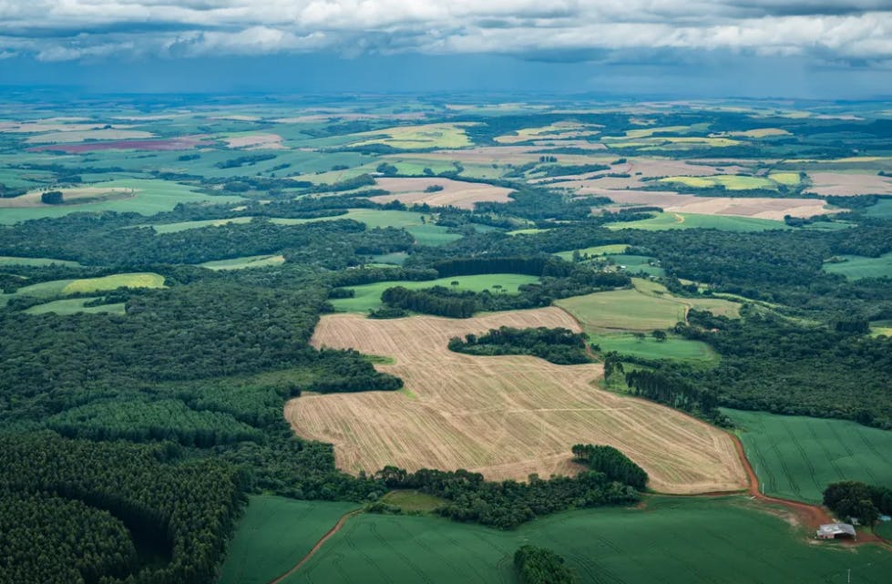 ‘Veto parcial não vai resolver o problema’, diz especialista sobre licenciamento