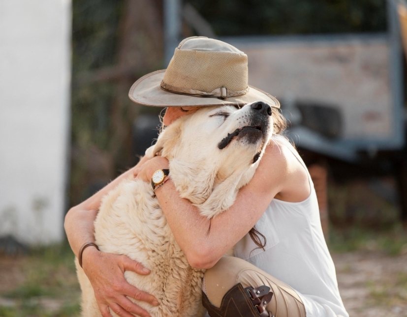 Quando o sonho vira pesadelo — O protetor de animais